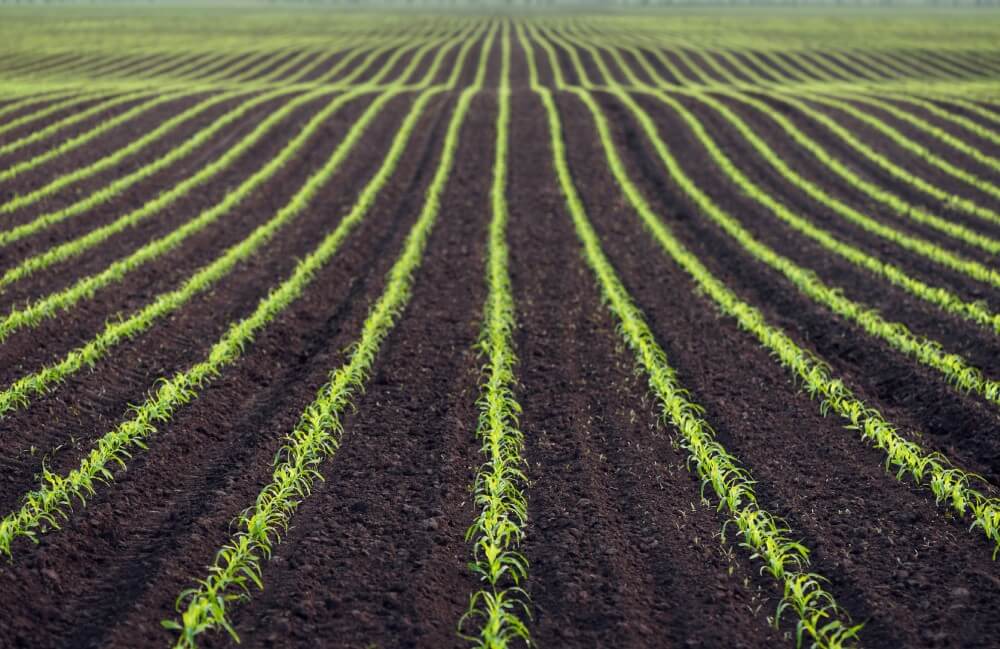 Proven-Soil-Science-graphic-02