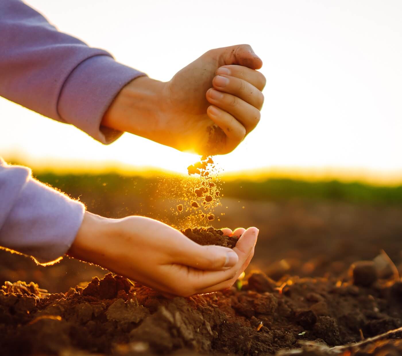 man-analyzing-soil-image-02