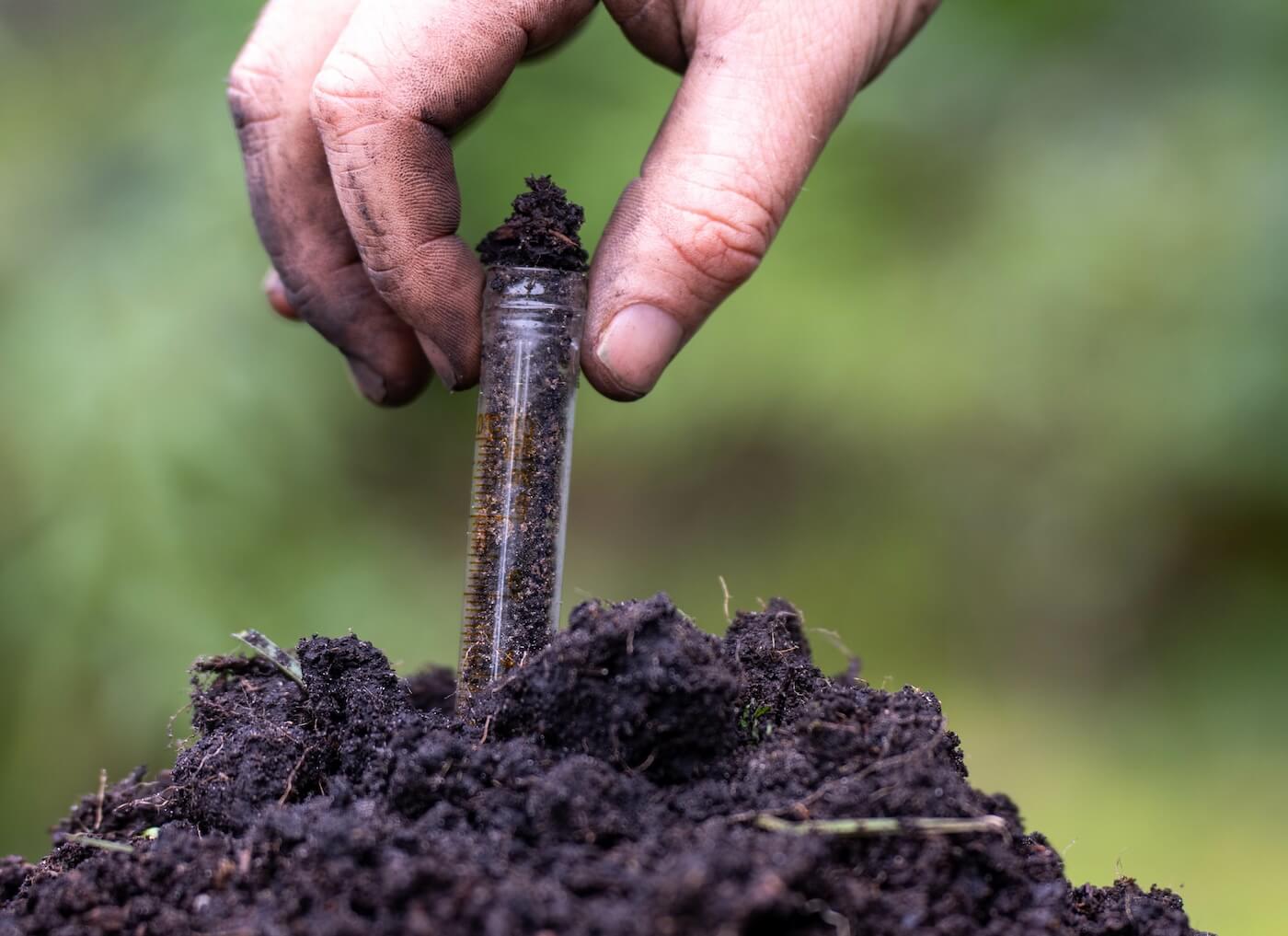 soil-in-a-glass-tube-image-02