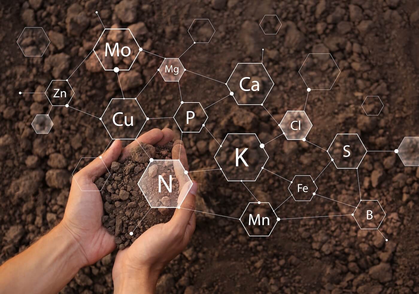 soil-on-a-hand-with-minerals-image-02